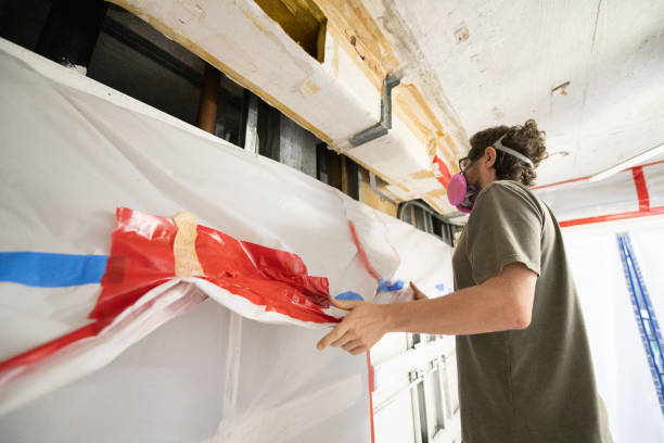 Asbestos and Lead Testing During Mold Inspection in Mountain View, MO