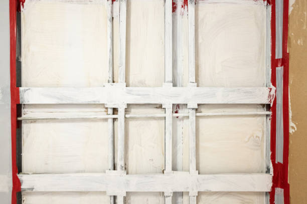 Best Black Mold Removal  in Untain View, MO