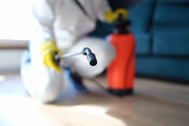 Best Environmental Consulting for Mold Prevention  in Untain View, MO